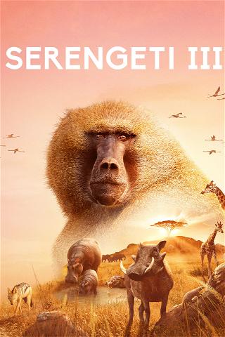 Avara luonto: Serengeti poster