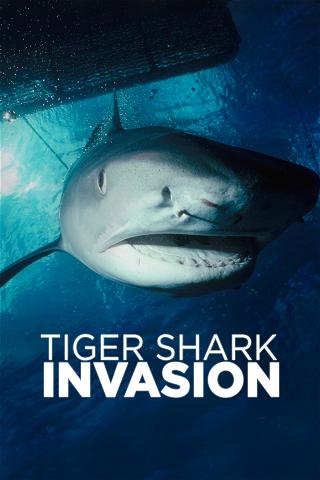 La invasión del tiburón tigre poster
