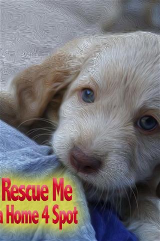 Rescue Me: A Home 4 Spot poster