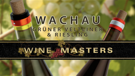 Wine Masters: Wachau poster