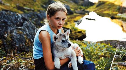 Misa Mi – Freundin der Wölfe poster