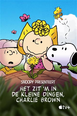 Snoopy presenteert: het zit 'm in de kleine dingen, Charlie Brown poster