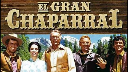 High Chaparral poster