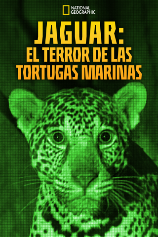 Jaguar: El terror de las tortugas marinas poster