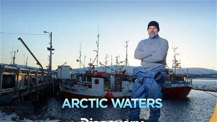 Arctic Waters poster