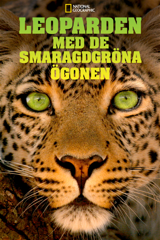 Leoparden med de smaragdgröna ögonen poster