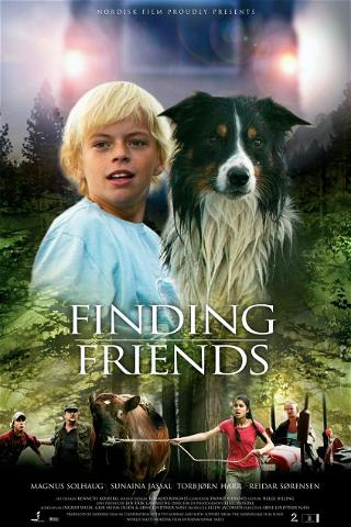Finding Friends poster