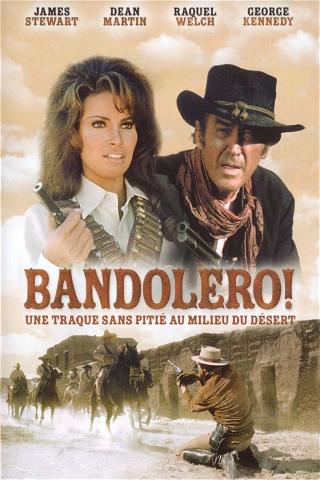 Bandolero ! poster