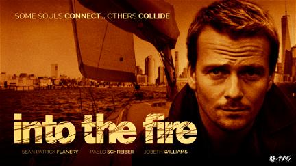 Into The Fire poster