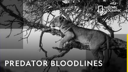 Predator Bloodlines poster
