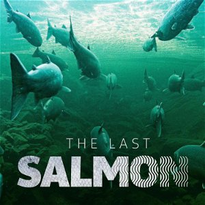 The Last Salmon poster