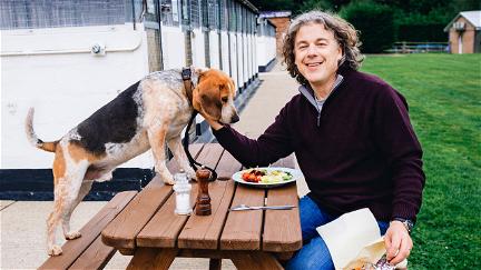 The Dog Rescuers with Alan Davies poster