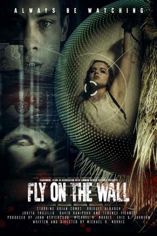 Fly on the Wall poster
