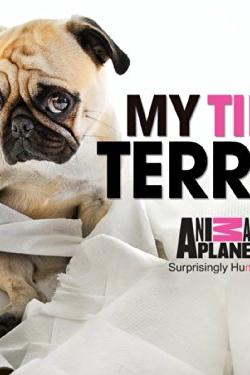 My Tiny Terror poster