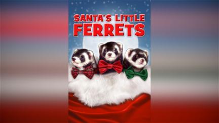 Santa's Little Ferrets poster