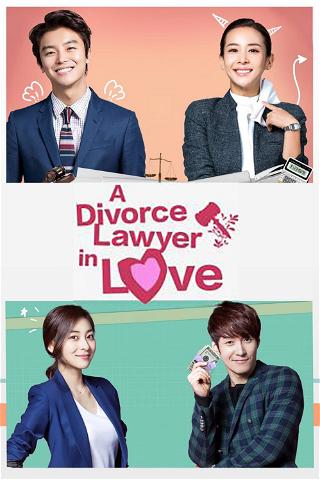 Divorce Lawyer in Love poster