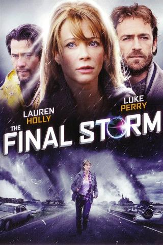 Final Storm poster