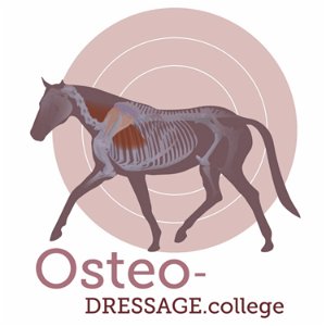 OsteoDressage - Reiten, wie es Pferde lieben poster