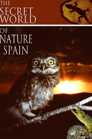 The Secret World of Nature: Spain poster