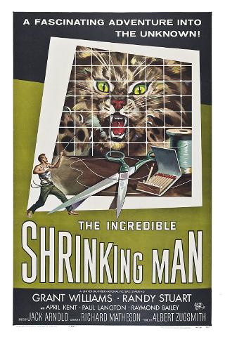 The Incredible Shrinking Man poster