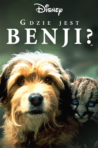 Gdzie jest Benji? poster