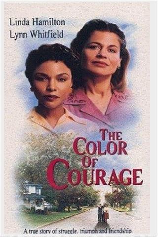 The Color of Courage poster