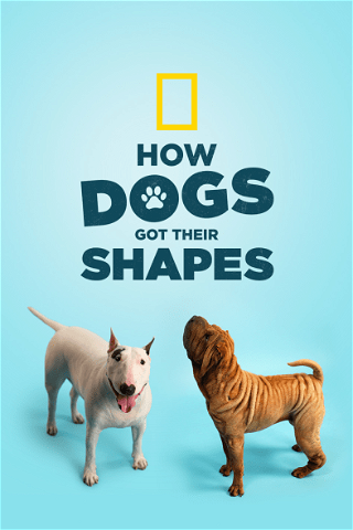 How Dogs Got Their Shapes poster