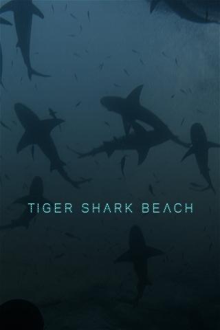 Tiger Shark Beach poster