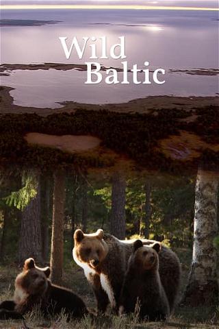 Wild Baltic poster