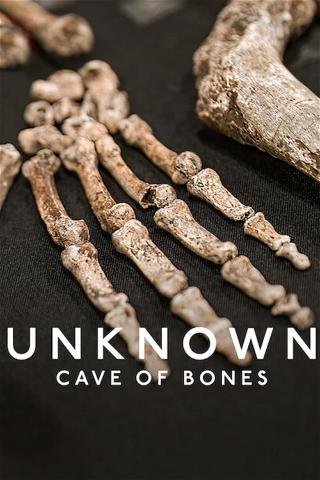 Unbekannt: Die Knochenhöhle poster