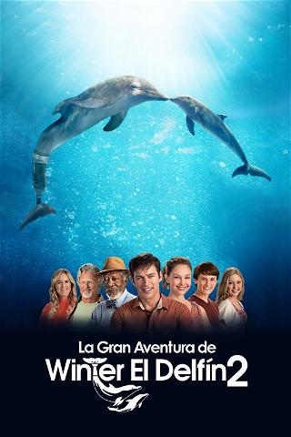 La gran aventura de Winter el delfín 2 poster