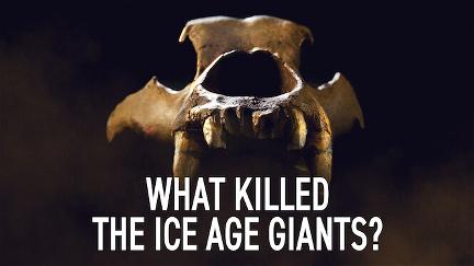 Das Eiszeiträtsel - Warum starben die Riesentiere aus? poster