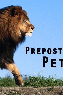 Preposterous Pets poster