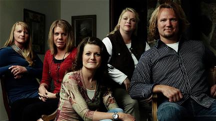 Sister Wives poster