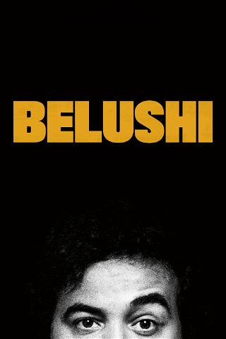 John Belushi: Stjernekomikerens liv og død poster