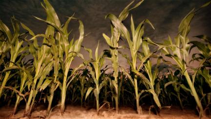 Los chicos del maíz VII: Revelación poster