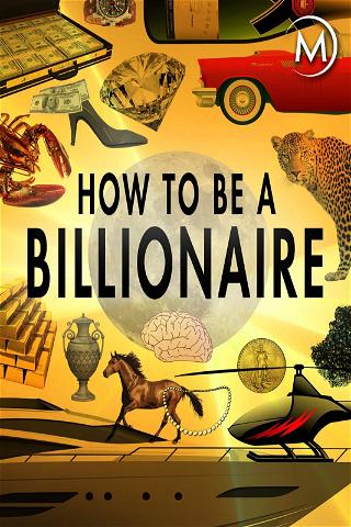 How to Be a Billionaire poster