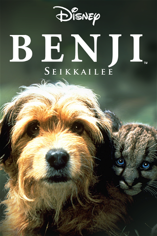 Benji seikkailee poster