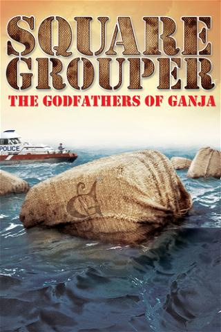 Square Grouper poster