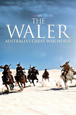 The Waler: Australia's Great War Horse poster