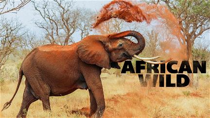 African Wild poster