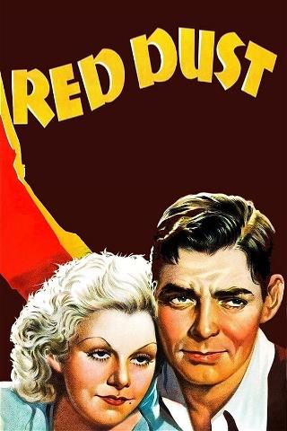Red Dust poster