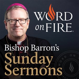 Bishop Barron’s Sunday Sermons - Catholic Preaching and Homilies poster