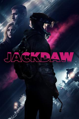 Jackdaw poster