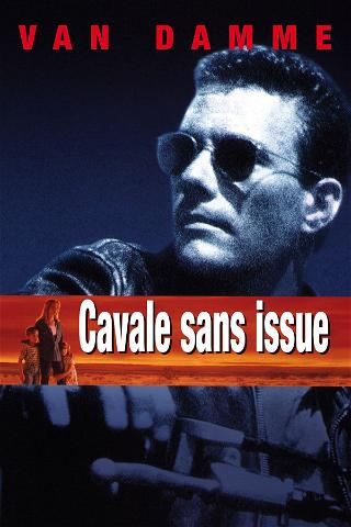 Cavale sans issue poster