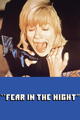 The Fear – Angst in der Nacht poster