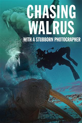 Chasing Walrus (With a Stubborn Photographer) poster