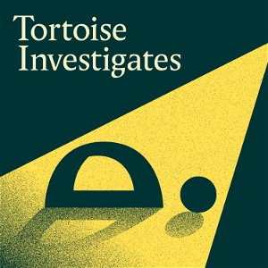 Tortoise Investigates poster