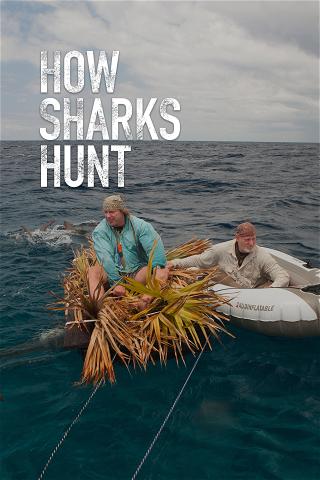How Sharks Hunt poster