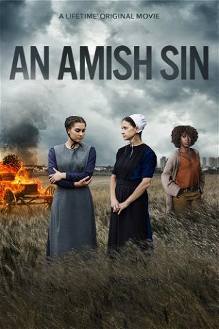 An Amish Sin poster